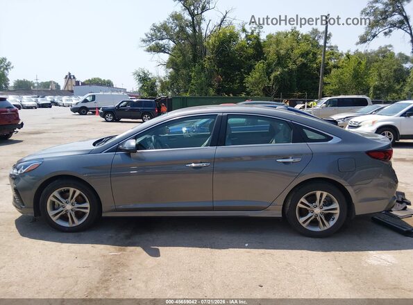 5NPE34AF3KH799186 2019 HYUNDAI SONATA Gray Սալոնի հետևի տեսք