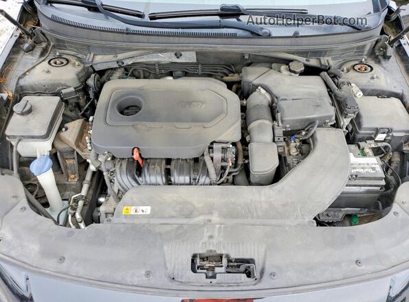 5NPE34AF4GH303058 2016 HYUNDAI SONATA Черный Вид задней части салона