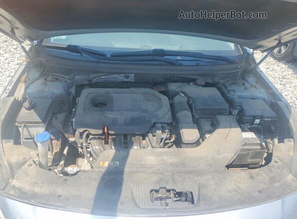 5NPE34AF4GH376236 2016 HYUNDAI SONATA Серый Вид задней части салона