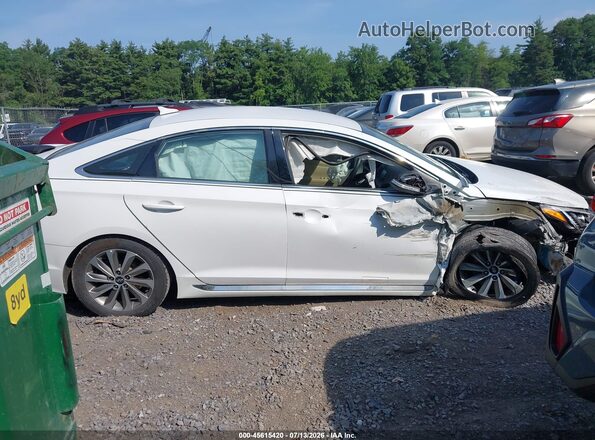 5NPE34AF4HH451485 2017 HYUNDAI SONATA White Widok wnętrza z tyłu