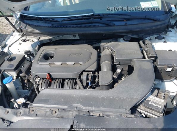 5NPE34AF4HH451485 2017 HYUNDAI SONATA White Widok z tyłu