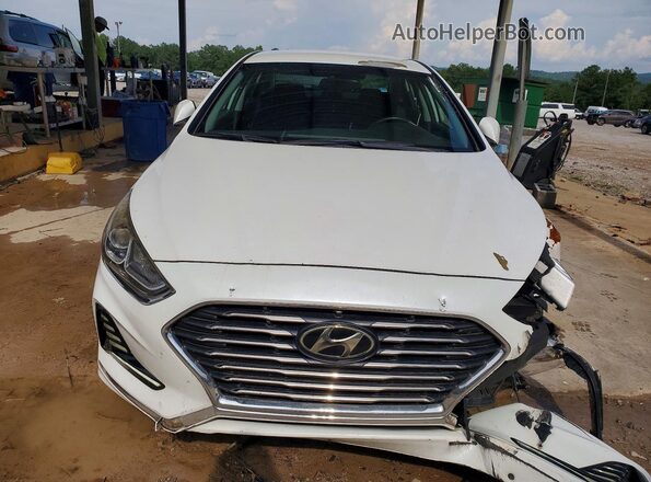 5NPE34AF4JH673255 2018 HYUNDAI SONATA Белый Вид спереди