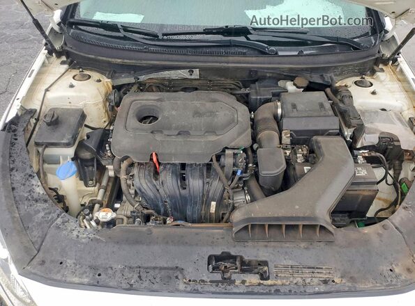 5NPE34AF4KH746724 2019 HYUNDAI SONATA White Սալոնի հետևի տեսք