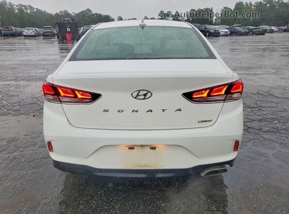 5NPE34AF4KH746724 2019 HYUNDAI SONATA White Հետևի տեսք