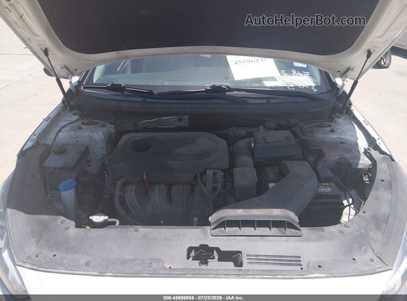 5NPE34AF4KH790691 2019 HYUNDAI SONATA White Widok z tyłu