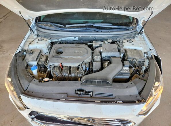 5NPE34AF4KH820207 2019 HYUNDAI SONATA White Vista interior trasera