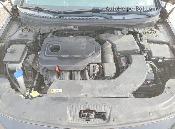 5NPE34AF5GH333850 2016 HYUNDAI SONATA Черный Вид задней части салона