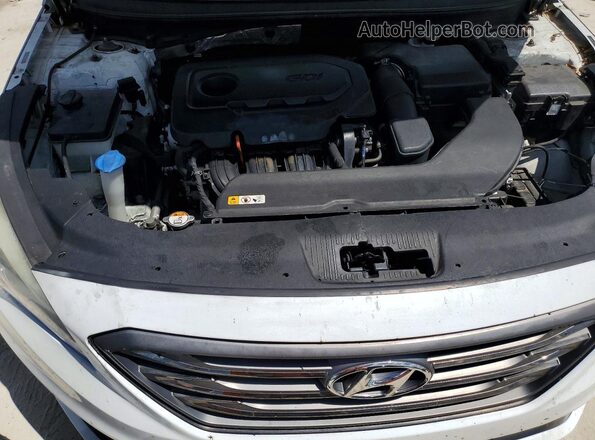 5NPE34AF5GH392512 2016 HYUNDAI SONATA White Սալոնի հետևի տեսք