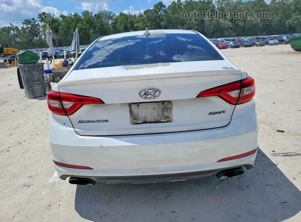 5NPE34AF5GH392512 2016 HYUNDAI SONATA White Հետևի տեսք