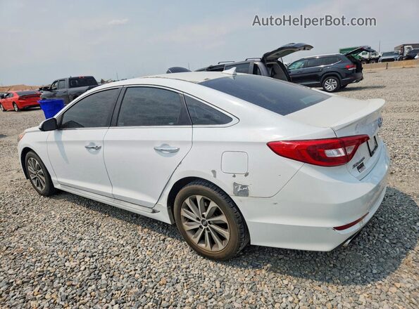 5NPE34AF5GH436525 2016 HYUNDAI SONATA White Tył lewy
