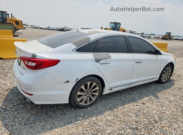 5NPE34AF5GH436525 2016 HYUNDAI SONATA White Tył prawy