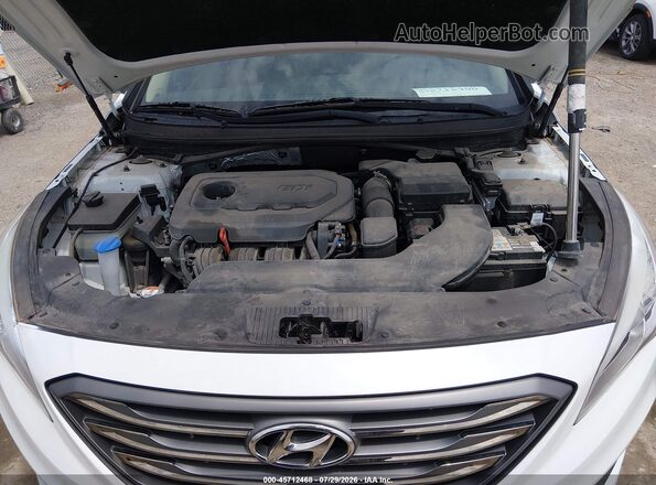 5NPE34AF5HH445601 2017 HYUNDAI SONATA White Вид ззаду