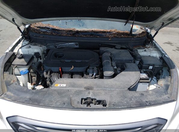 5NPE34AF5HH479358 2017 HYUNDAI SONATA White უკანა ხედი
