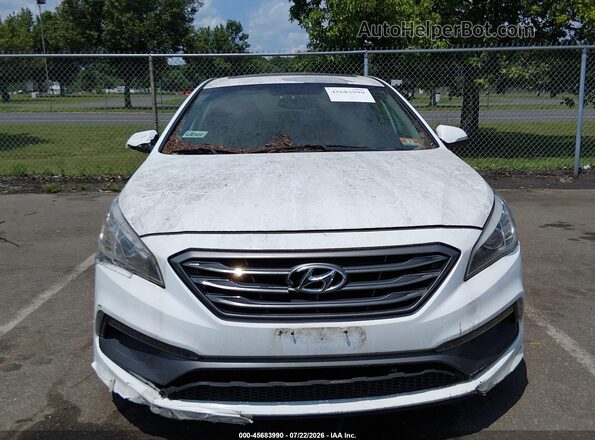 5NPE34AF5HH479358 2017 HYUNDAI SONATA White 