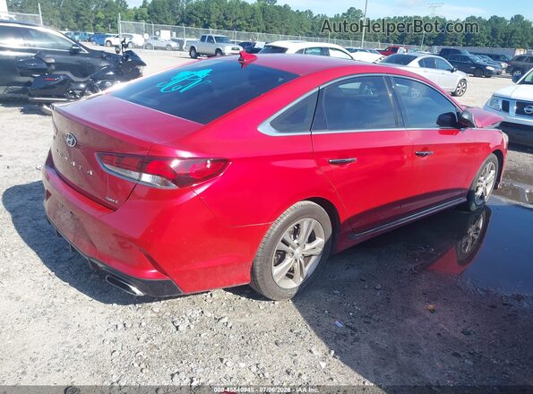 5NPE34AF5KH808227 2019 HYUNDAI SONATA Red Задня права чверть