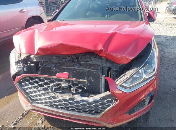 5NPE34AF5KH808227 2019 HYUNDAI SONATA Red Вид спереду