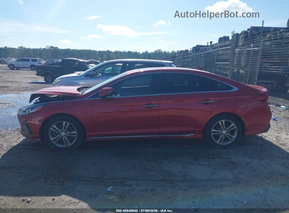 5NPE34AF5KH808227 2019 HYUNDAI SONATA Red Панорамний вид салону 360°