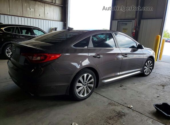 5NPE34AF6GH328866 2016 HYUNDAI SONATA Gray უკანა მარჯვენა