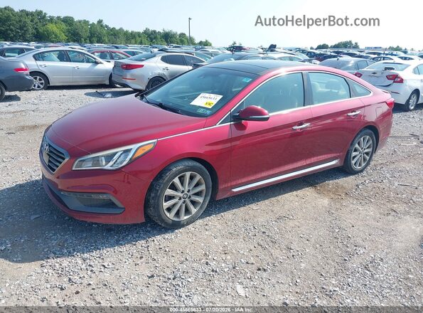 5NPE34AF6GH339351 2016 HYUNDAI SONATA Red Front left
