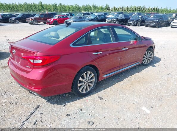 5NPE34AF6GH339351 2016 HYUNDAI SONATA Red Rear right