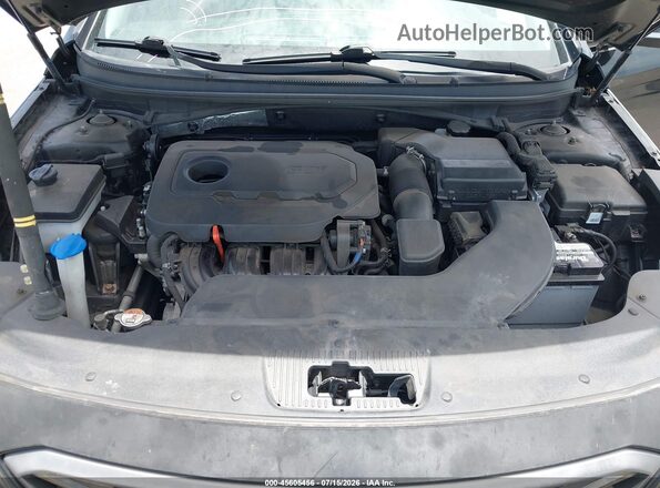 5NPE34AF6HH508785 2017 HYUNDAI SONATA Black Widok z tyłu