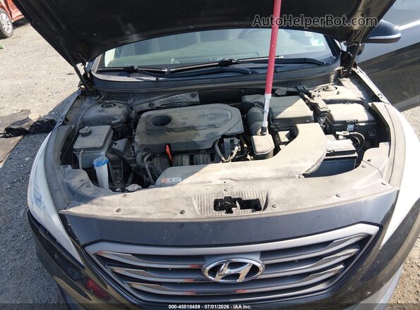 5NPE34AF6HH552852 2017 HYUNDAI SONATA Black Widok z tyłu