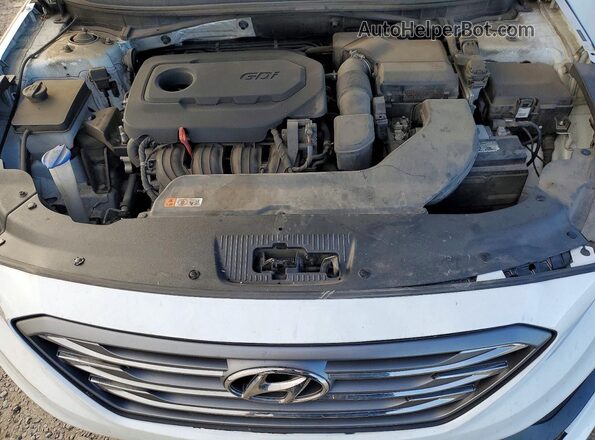 5NPE34AF6HH569201 2017 HYUNDAI SONATA White Սալոնի հետևի տեսք