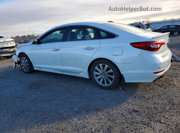5NPE34AF6HH569201 2017 HYUNDAI SONATA White Հետևի ձախ