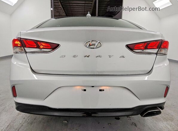 5NPE34AF6KH775688 2019 HYUNDAI SONATA Silver Widok z tyłu