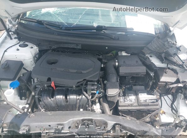 5NPE34AF6KH808110 2019 HYUNDAI SONATA White Rear view