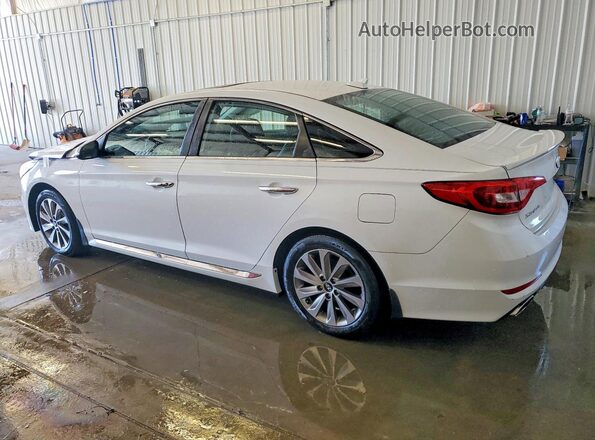 5NPE34AF7GH374707 2016 HYUNDAI SONATA White Задня ліва чверть