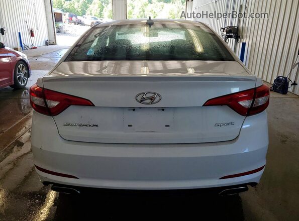 5NPE34AF7GH374707 2016 HYUNDAI SONATA White Вид ззаду