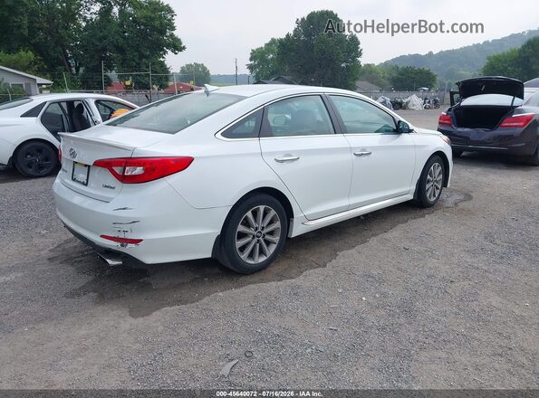5NPE34AF7HH490023 2017 HYUNDAI SONATA White Trasero derecho