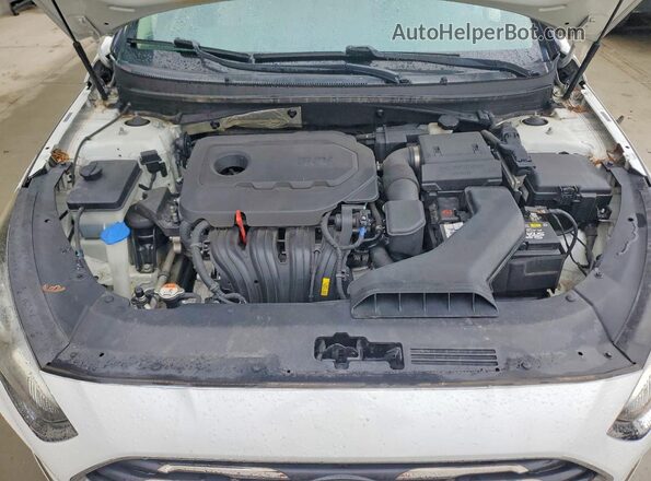 5NPE34AF7JH639827 2018 HYUNDAI SONATA White უკანა სალონის ხედი