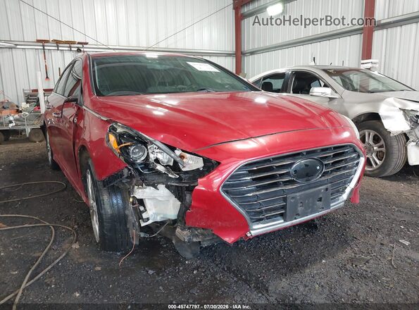 5NPE34AF7JH689224 2018 HYUNDAI SONATA Red Вид спереду