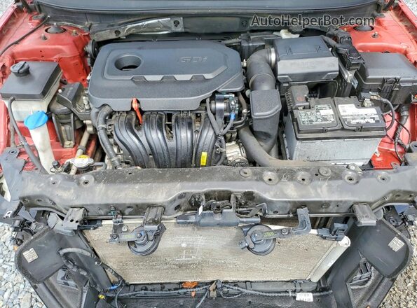 5NPE34AF7JH720665 2018 HYUNDAI SONATA Темно-бордовый Вид задней части салона