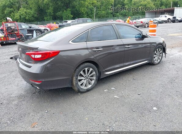 5NPE34AF8GH396666 2016 HYUNDAI SONATA Brown უკანა მარჯვენა