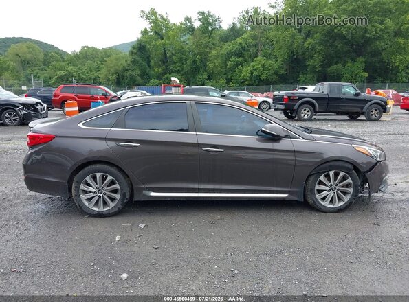 5NPE34AF8GH396666 2016 HYUNDAI SONATA Brown უკანა სალონის ხედი