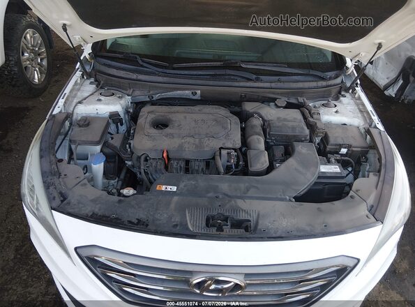 5NPE34AF8GH428547 2016 HYUNDAI SONATA White Հետևի տեսք