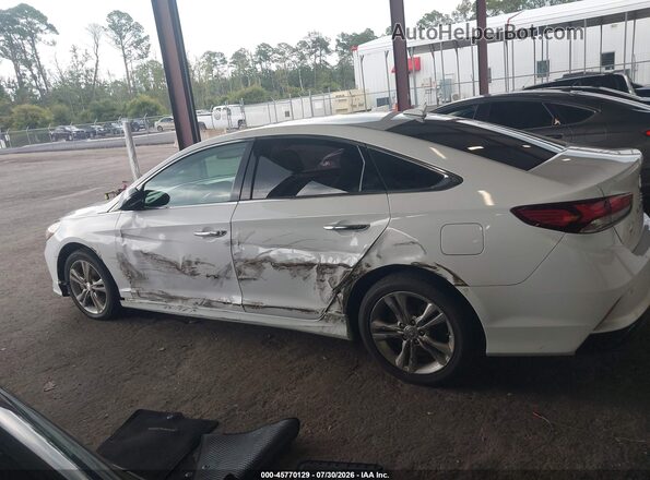 5NPE34AF8JH604259 2018 HYUNDAI SONATA Белый Панорамный вид салона 360°