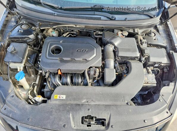 5NPE34AF9GH418092 2016 HYUNDAI SONATA Черный Вид задней части салона