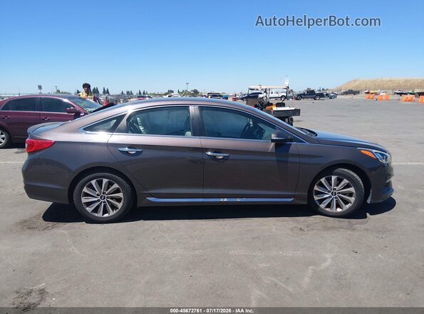 5NPE34AF9GH424331 2016 HYUNDAI SONATA Коричневый Вид задней части салона