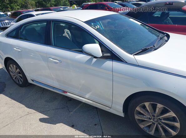 5NPE34AF9HH445181 2017 HYUNDAI SONATA White Widok wnętrza z tyłu