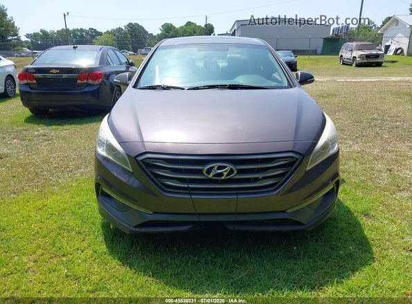 5NPE34AF9HH479783 2017 HYUNDAI SONATA Gray Вид задньої частини салону