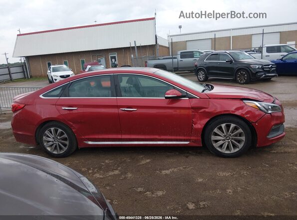 5NPE34AF9HH566700 2017 HYUNDAI SONATA Красный Вид задней части салона