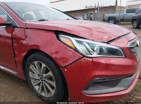 5NPE34AF9HH566700 2017 HYUNDAI SONATA Красный Вид спереди