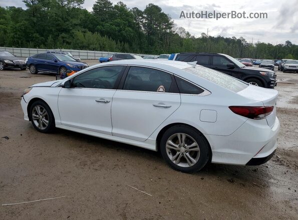 5NPE34AF9JH631177 2018 HYUNDAI SONATA White Задня ліва чверть