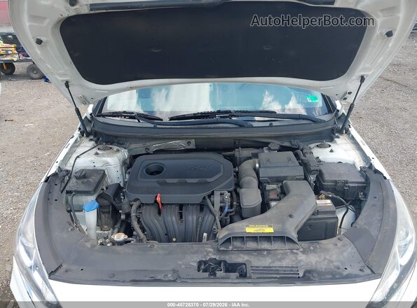 5NPE34AF9KH784983 2019 HYUNDAI SONATA White Вид ззаду