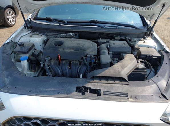 5NPE34AF9KH801040 2019 HYUNDAI SONATA White Vista trasera