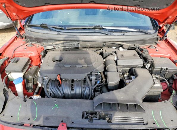 5NPE34AF9KH821319 2019 HYUNDAI SONATA Красный Вид задней части салона